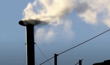 Habemus Papam: fumaça branca indica que novo Papa foi escolhido