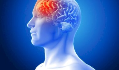 Nova Coalização Mundial alerta que o AVC pode matar 10 milhões de pessoas por ano até 2050