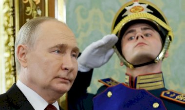 Putin chama Ucrânia para conversa, Zelensky aceita encontro e pressiona por 30 dias de cessar-fogo