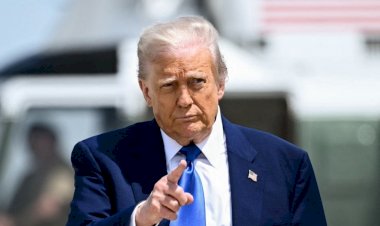 Sob Donald Trump, Embaixada dos EUA no Brasil muda tom na relação com STF