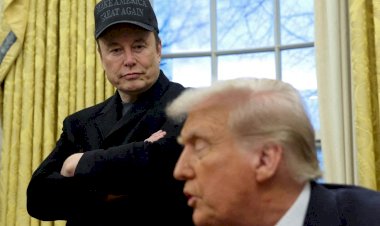 Musk deixa o governo Trump