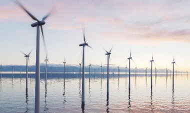 Congresso cria demanda artificial de energia mais cara e manda a conta para o consumidor