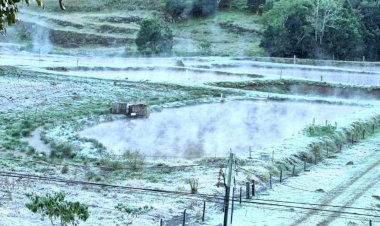 Onda de frio atinge pico nesta quarta e mínima pode chegar a 5°C em SP; veja capitais mais geladas