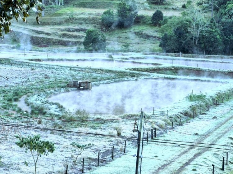 Onda de frio atinge pico nesta quarta e mínima pode chegar a 5°C em SP; veja capitais mais geladas