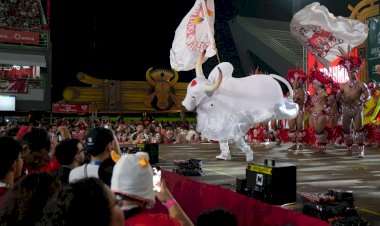 Garantido celebra 33º título com festa no Sambódromo e despedida de item oficial