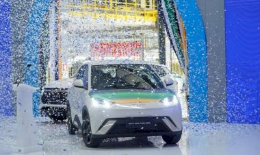 BYD Dolphin Mini alcança 35 mil unidades vendidas no Brasil