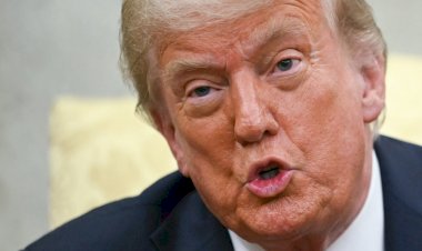 Empresários dos EUA defendem negociação e dizem que tarifaço de 50% eleva custos para famílias e prejudica empresas norte-americanas