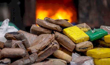 Governo do Amazonas inicia incineração de 40 toneladas de drogas apreendidas