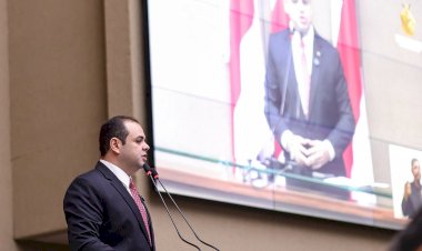 Cultura nipo-brasileira é exaltada em lei de Roberto Cidade que reconhece Jungle Matsuri como evento oficial do Amazonas