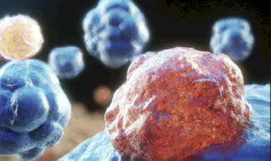 Cientistas criam vacina 'universal' contra o câncer; entenda