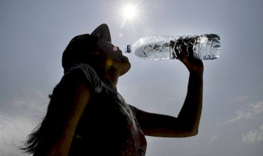 Deixei uma garrafa plástica de água dentro do carro no calor; é seguro beber?