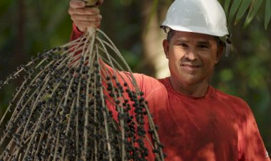 Governo vai comprar alimentos afetados por tarifaço de Trump; veja a lista