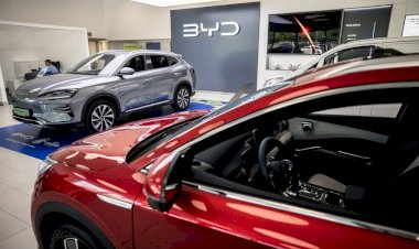 Lucro da BYD dispara e montadora vende 2,15 milhões de carros este ano