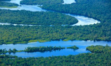 Agosto: focos de calor no Amazonas caem ao nível mais baixo desde 2011 e desmatamento diminui
