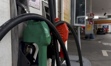 Por que preço da gasolina com mais etanol não caiu como o governo previa?