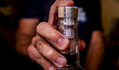 Bahia registra primeira morte por suspeita de intoxicação com metanol