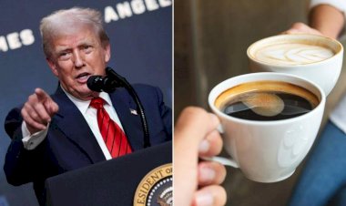 Trump diz a Lula que EUA 'estão sentindo falta' do café brasileiro: o efeito do tarifaço no bolso americano