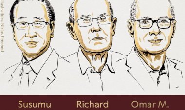 Prêmio Nobel de Química 2025: como o estudo das estruturas metal-orgânicas mudou a ciência dos materiais
