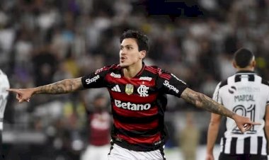Flamengo vence o Botafogo no Nilton e encosta no Palmeiras na briga pela liderança, pela 28ª rodada do campeonato brasileiro da série A