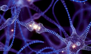 Nanotubos entre neurônios revelam novo tipo de comunicação cerebral