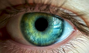 Ciência cria chip que faz pacientes cegos voltarem a ler e escrever