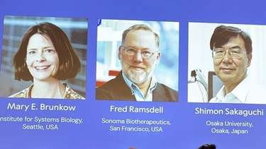 Cientistas com estudo sobre controle de imunologia vencem Nobel de Medicina