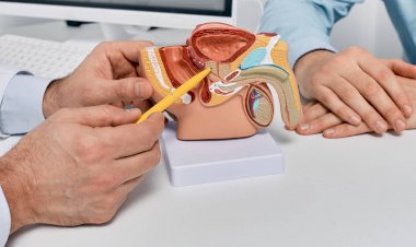 Câncer de próstata mata 48 homens por dia no Brasil, apesar de alta chance de cura