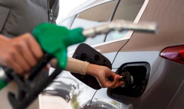 Gasolina comum, aditivada ou premium: saiba qual a opção correta