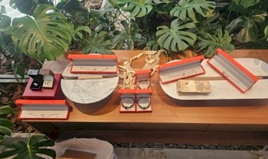 Aeronave, relógios e obras de arte: saiba como PF apreendeu R$ 230 milhões em bens de investigados em caso do Banco Master