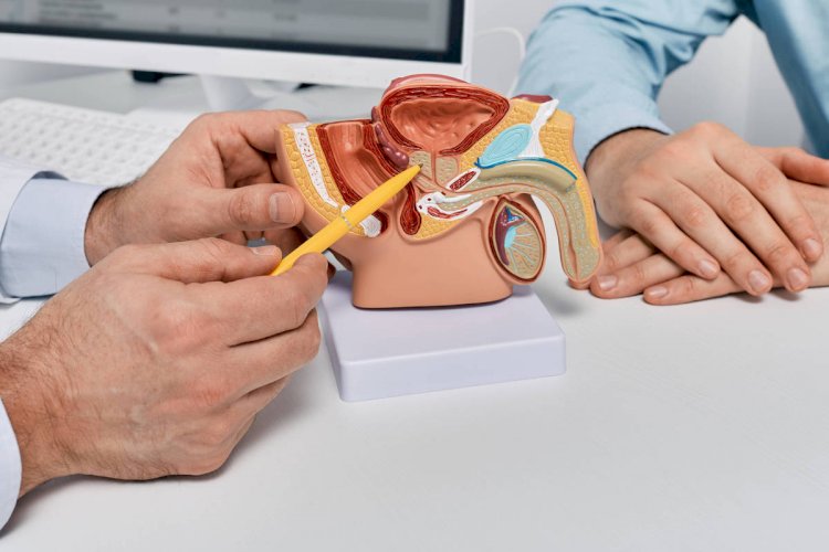 Câncer de próstata mata 48 homens por dia no Brasil, apesar de alta chance de cura