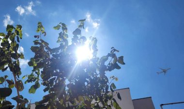 Primeiro dia de verão, domingo (21) tem sol com poucas nuvens em SP
