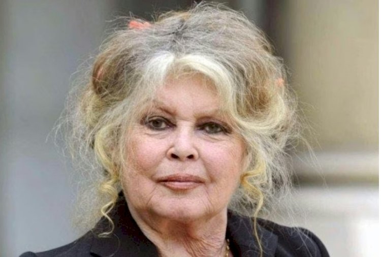 Morre Brigitte Bardot, ícone do cinema francês, aos 91 anos