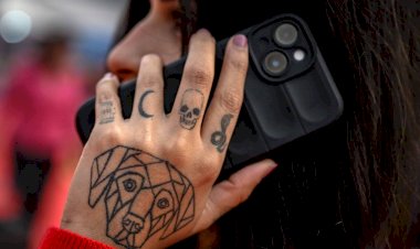 Tatuagens, toxinas e sistema imune: o que você precisa saber antes de fazer uma