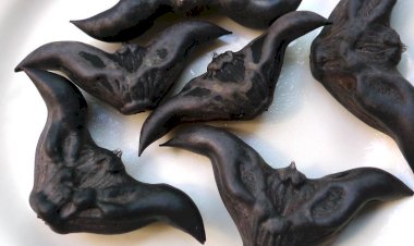 Parece um morcego, mas não é! Conheça a castanha exótica de 3 mil anos consumida na Ásia