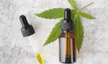 Cannabis medicinal: Anvisa aprova novas regras; entenda o que vai mudar