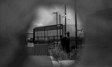 Amazon identifica material de abuso sexual infantil em dados usados para treinar IA. Entenda o caso