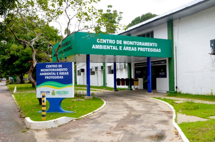 Balanço 2025: Amazonas tem menor número de alertas de desmatamento dos últimos oito anos