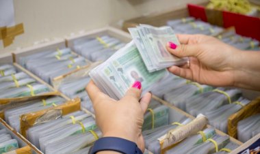 Nova CNH: veja os novos limites de pontos para perder a carteira após mudança de regra