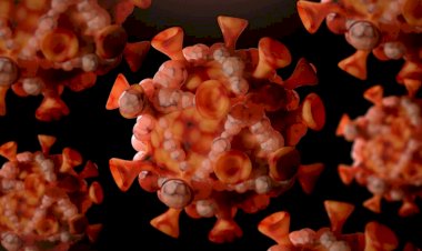 Mpox: Ministério da Saúde confirma 55 casos da doença no Brasil