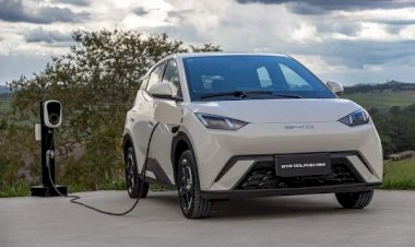 Avanço dos elétricos: BYD Dolphin Mini já vende mais que Renault Kwid