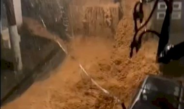 Temporal em Minas Gerais deixa ao menos 25 mortos em Juiz de Fora e Ubá; vídeo