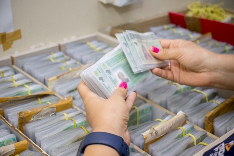 Nova CNH: veja os novos limites de pontos para perder a carteira após mudança de regra