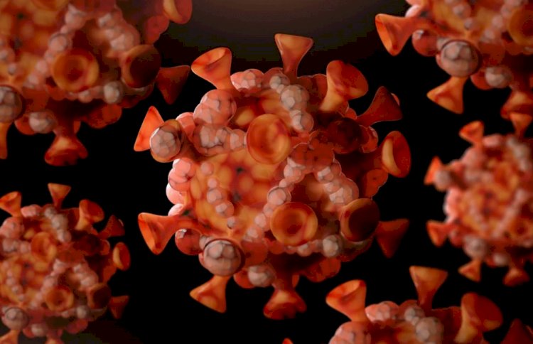 Mpox: Ministério da Saúde confirma 55 casos da doença no Brasil