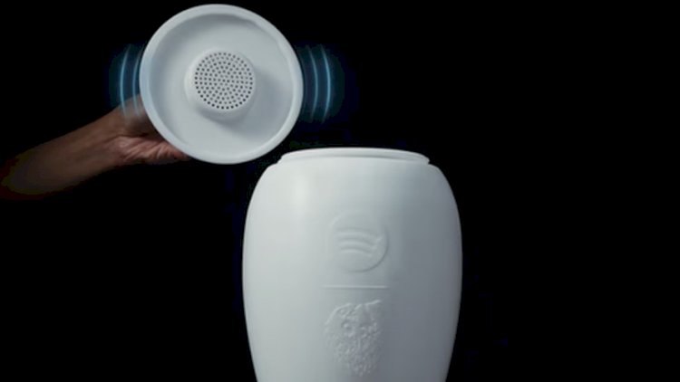 Spotify vende urna funerária com 'playlist eterna' por quase US$ 500; entenda