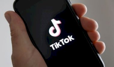 Governo Lula cobra que TikTok explique vídeos sobre violência contra mulher
