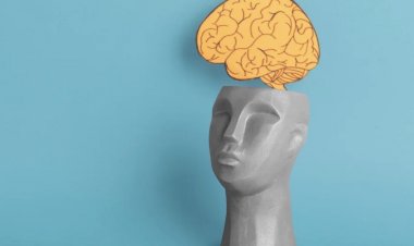 Por que a memória falha quando estamos estressados?