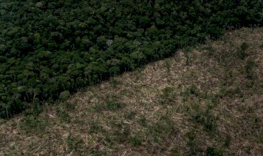 Amazonas reduz desmatamento em 32%, mas segue 2º no ranking da Amazônia Legal