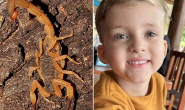 Pai vê falha em atendimento ao filho morto após picada de escorpião: 'Gritava de dor'