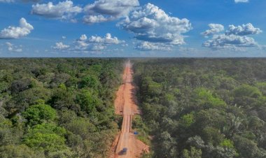 Observatório do Clima vai à Justiça contra obras da BR-319