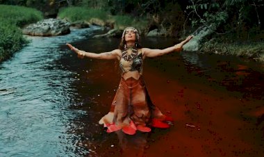 Entenda motivos para divas pop controlarem discursos e evitarem imprensa - e suas consequências